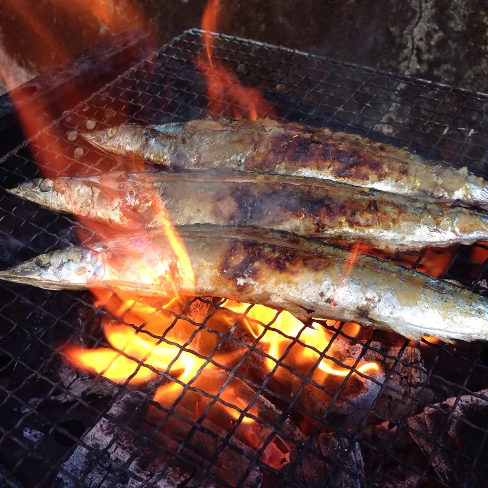 🔥炭火で秋刀魚の塩焼🔥|koji toyodaさん