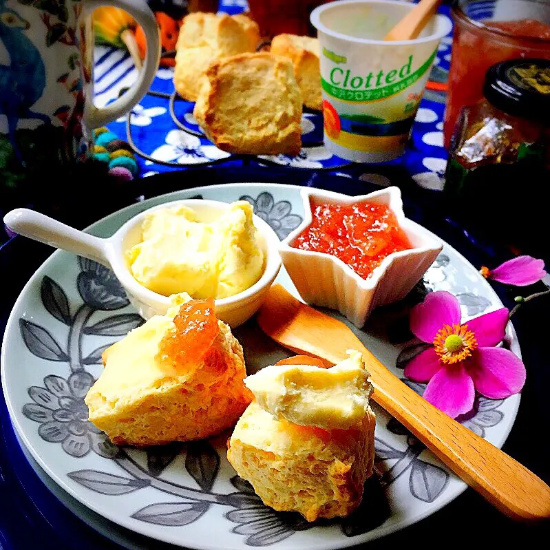 クロテッドクリームは塗るのでなくのっける😍焼きたてのスコーンに出来立てのいちじくジャムと😍あ〜幸せ味😍|tamiさん