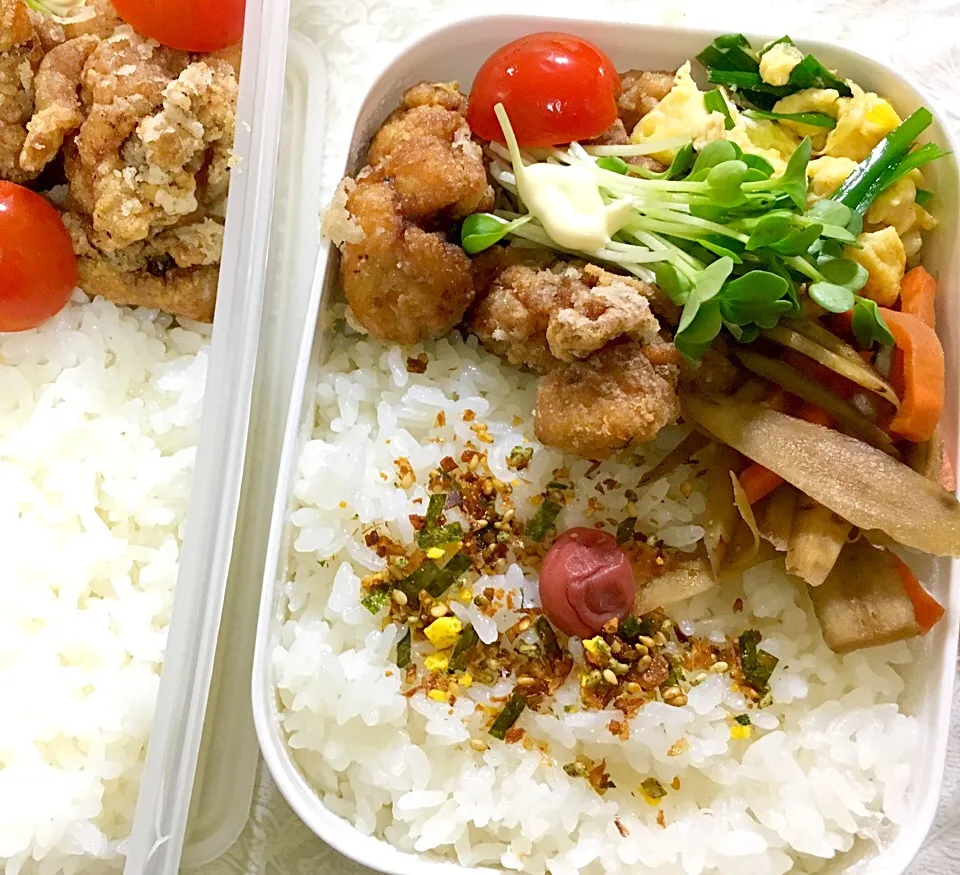 普通のから揚げ弁当🍱|うめち。さん