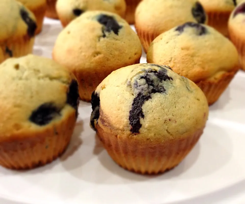 Blueberry muffins|maria claraさん