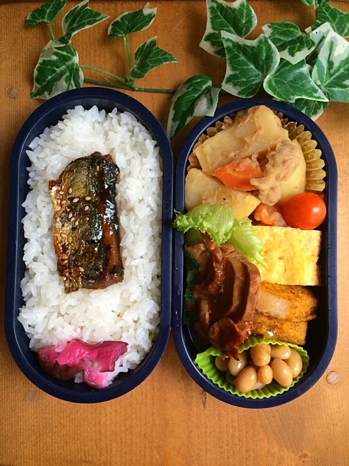 Snapdishの料理写真:ある日のお弁当…☆。.:＊・゜|ばろんさん