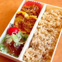 Snapdishの料理写真:漬けまぐろのお弁当|あすみんさん