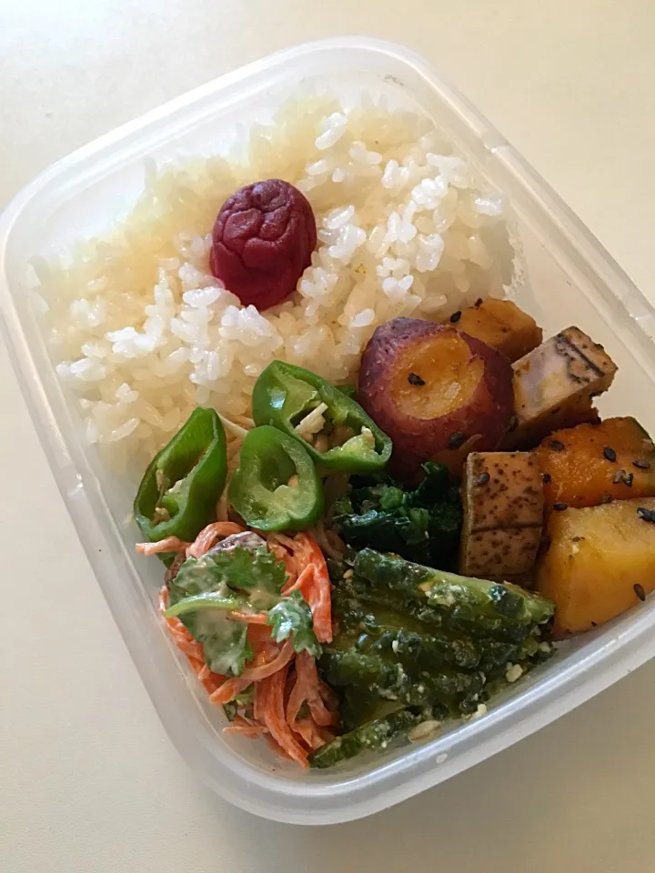 Snapdishの料理写真:Veganお弁当🍱|RISARISAさん