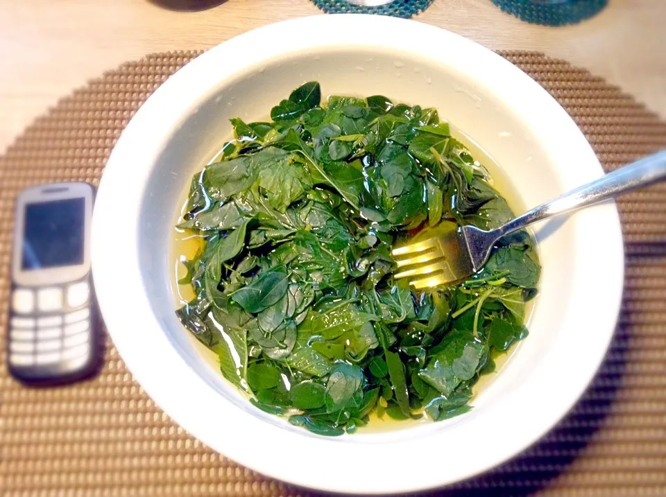 Lecker?! Nicht so aber Ernährungshaft. Oder|Nad Ocnauhcepさん