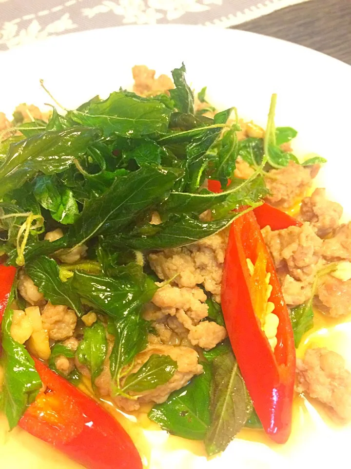 กระเพรากรอบหมูสับ Crispy basil with pork|SaSaさん