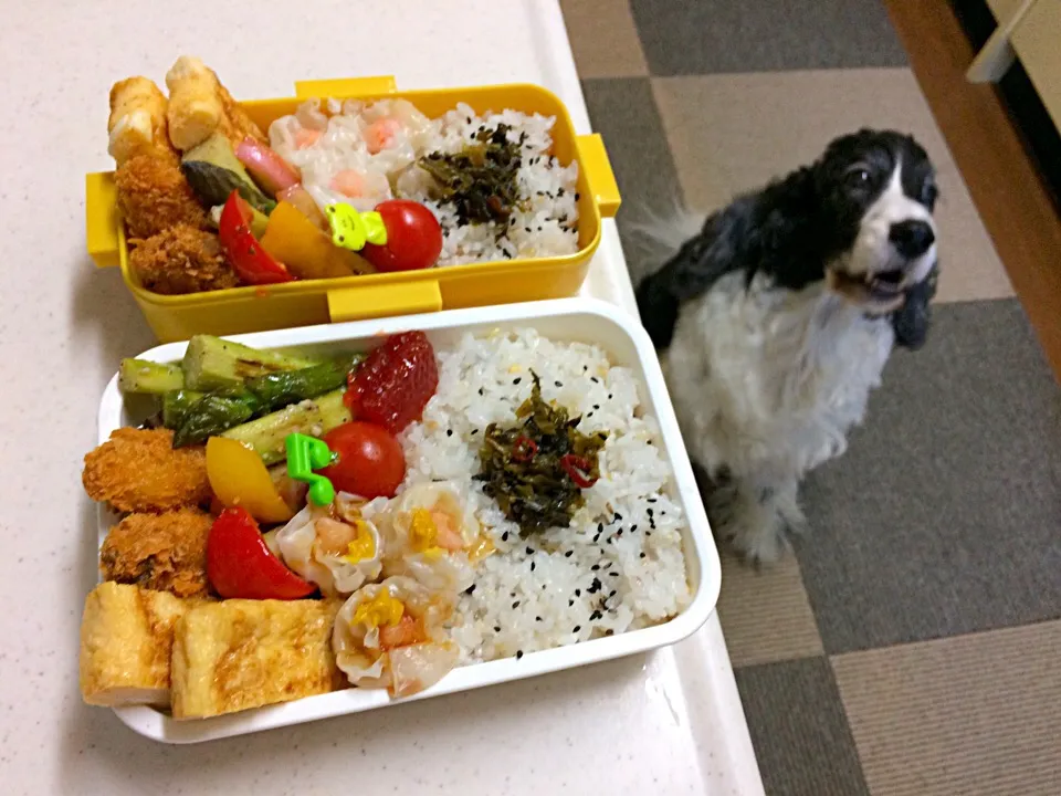 カキフライ弁当|cafe3733さん