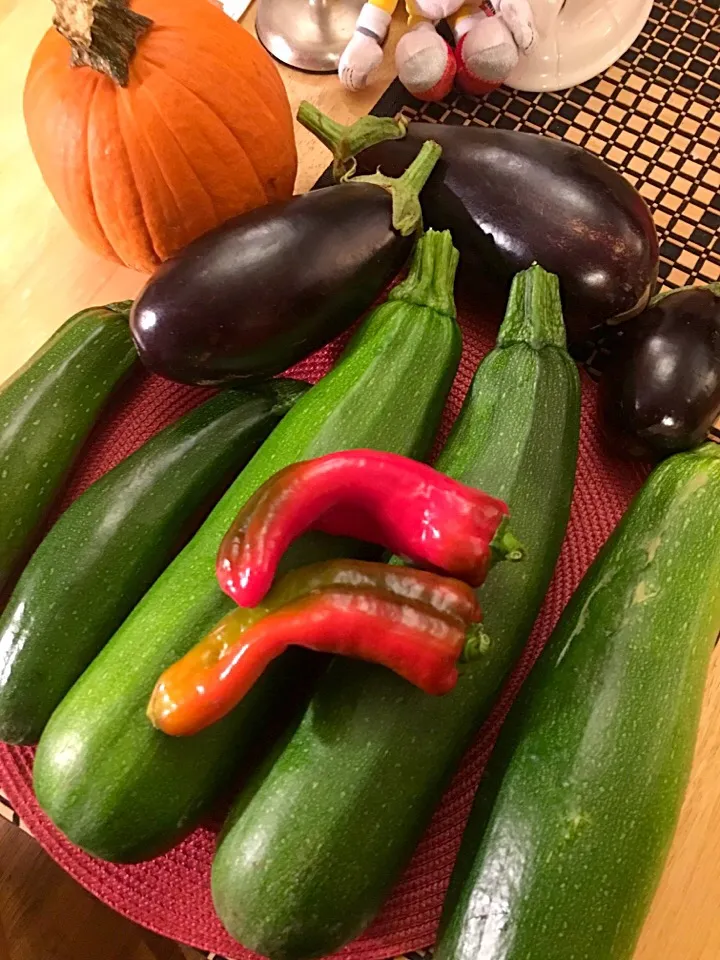 Organic veggies from the garden
Zucchini, eggplant, & red peppers|🌺IAnneさん