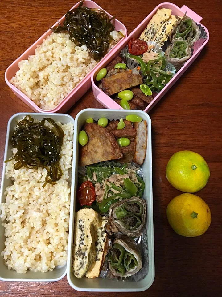 10/13 お弁当|もっちさん