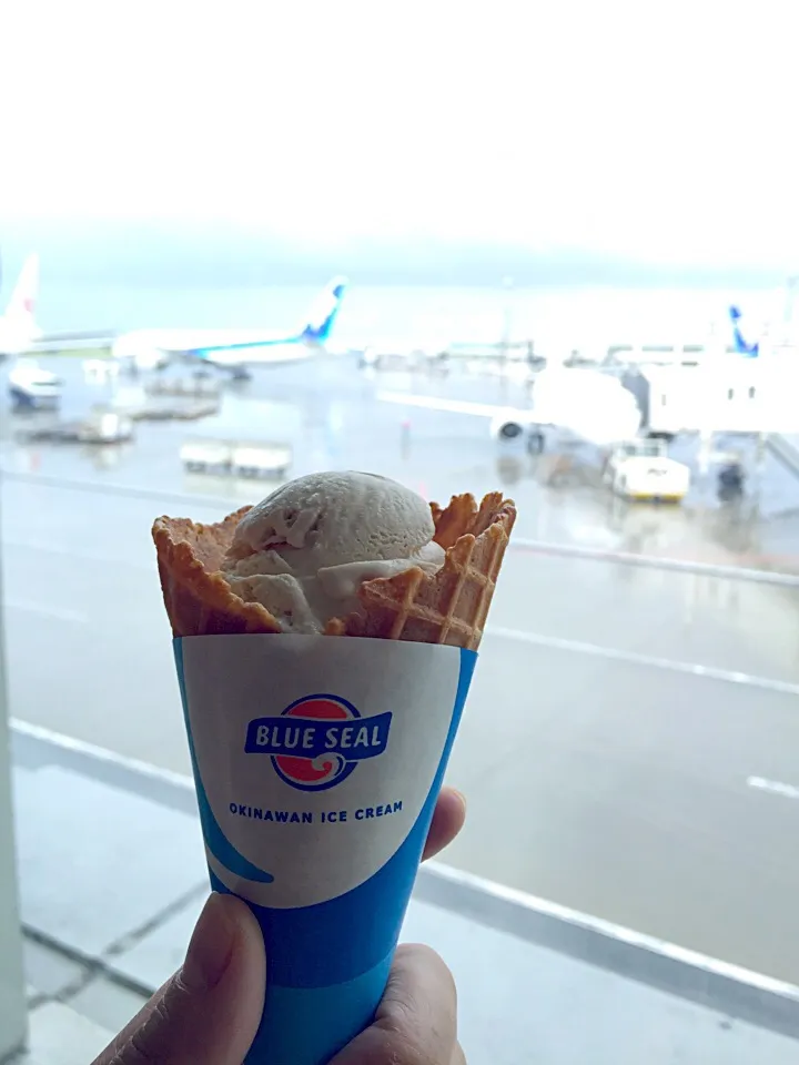 Snapdishの料理写真:沖縄最終デザート 那覇空港 BLUE SEAL さとうきびアイス|うえのぶさん