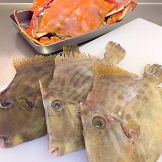 ハギの煮付けのレシピと料理アイディア19件 Snapdish スナップディッシュ