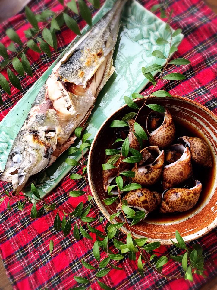 鯵🐟塩焼き& あずき貝|綾美さん