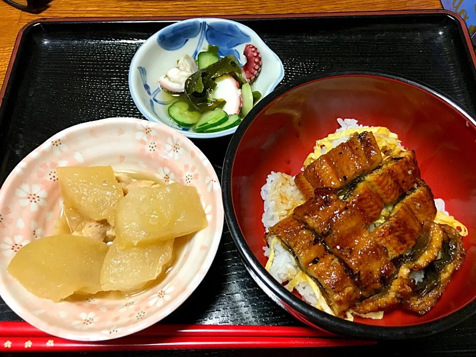 うな丼⭐️鶏肉と冬瓜の煮物⭐️酢の物|ほなさん