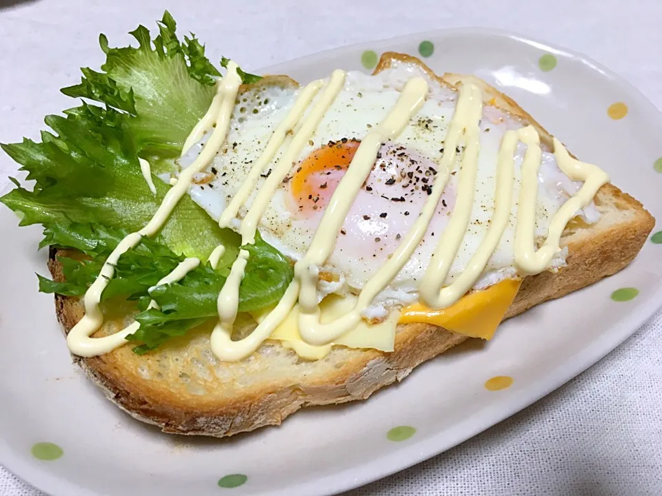 🍳森のたまごの
チーズ🧀トースト|eiyadeさん