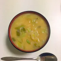 Snapdishの料理写真:風邪をひいたのでネギと汁が1：1の味噌汁を作りました|水まんじゅうさん