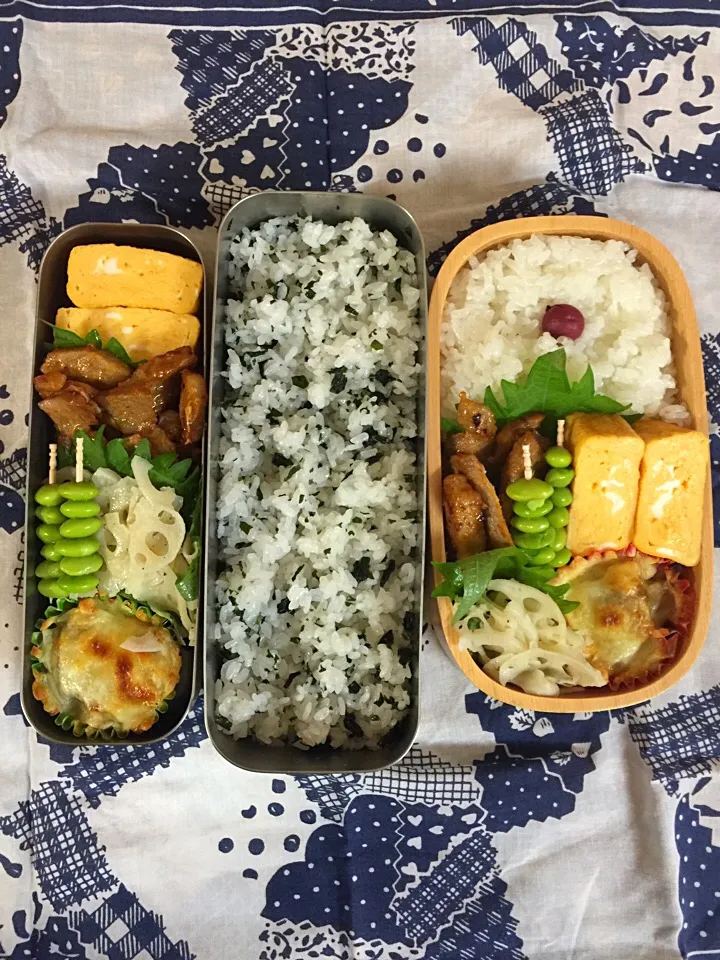 Snapdishの料理写真:2016.10.16
女子高生部活弁当
男子小学生試合弁当|yuganさん