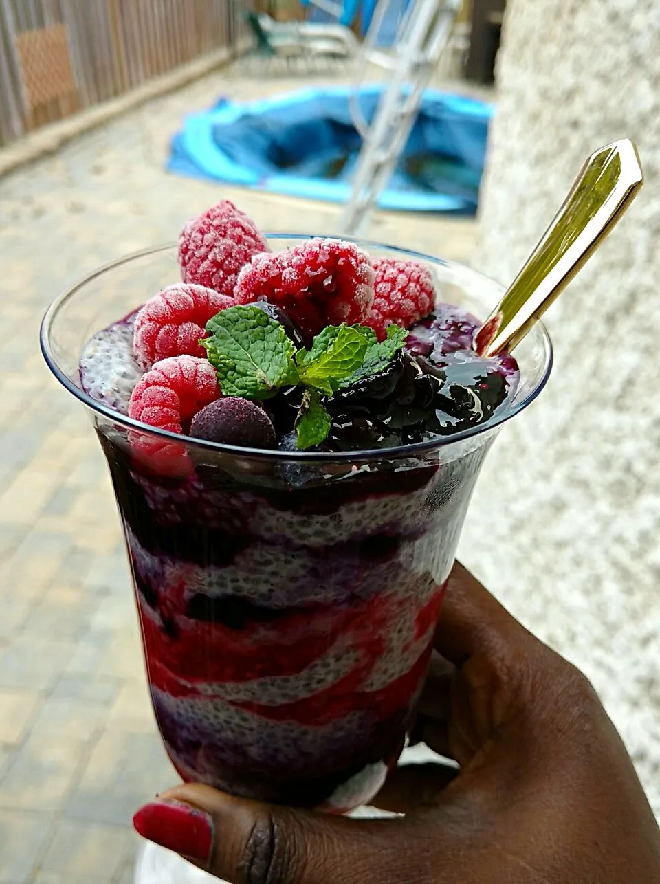 Homemade chia pudding parfait|paulaさん