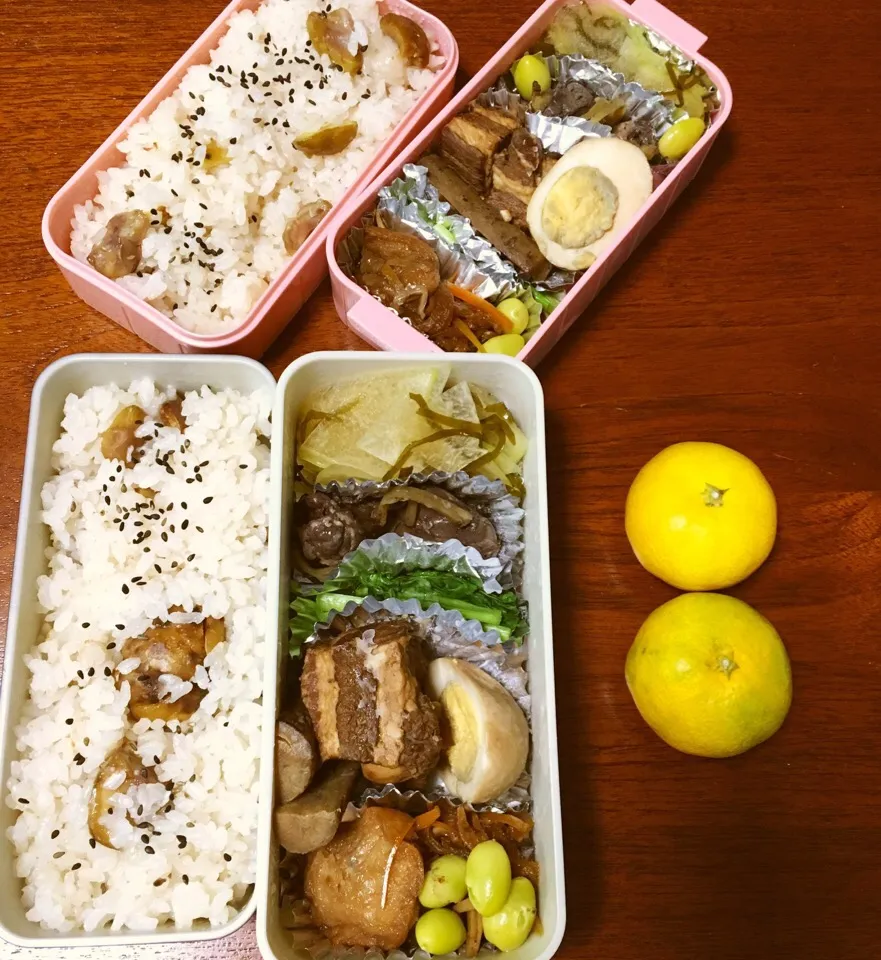 10/17 お弁当|もっちさん