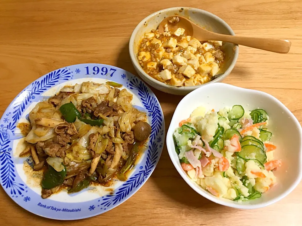 回鍋肉⭐️ポテトサラダ⭐️麻婆豆腐|ほなさん