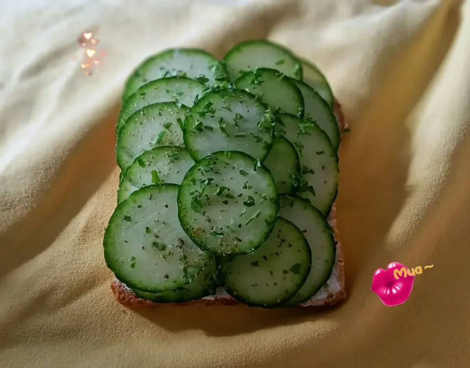 Breakfast: cucumber Dinkel bread with cheese
Zmorge: Gurken Frischkäse Urdinkelbrötchen

#Urdinkel|Najeskaさん