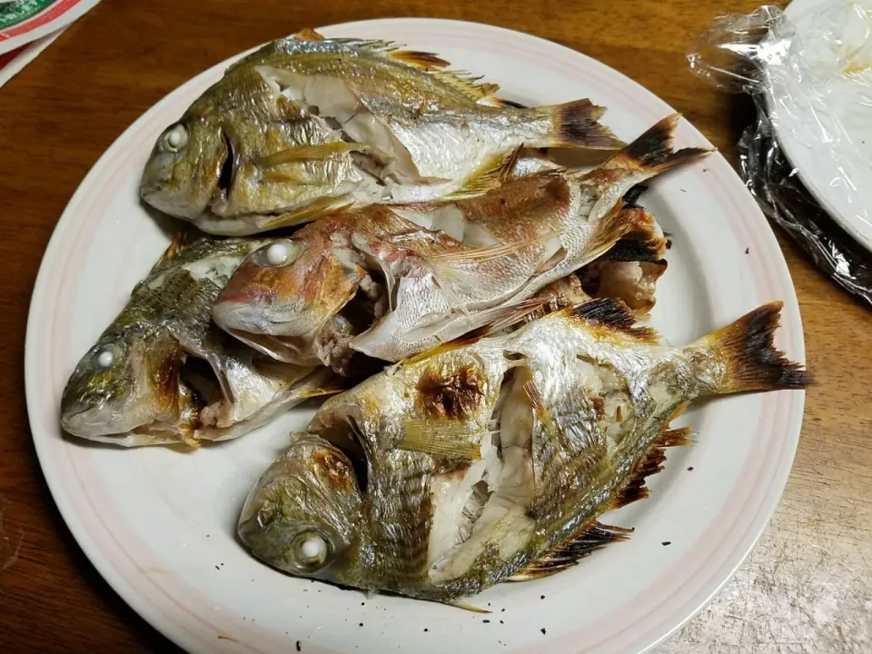 Snapdishの料理写真:鯛の塩焼き　真鯛・クロダイ #焼き魚 #鯛|Morito Kamiyaさん