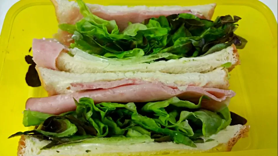 Milk bread + Honey shaved ham + Red Oakleaf Lettuce + oregano + cream cheese spread on bread
😜😍😋👄👅👅👅💋💋💋💋💋💋💜💚💛❤💙|🌷lynnlicious🌷さん