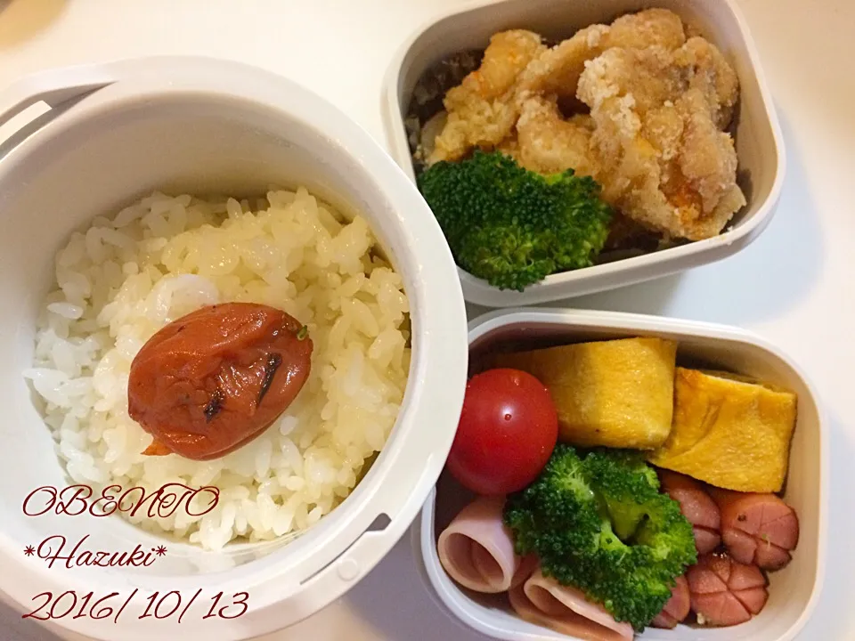 Snapdishの料理写真:10月13日(木)高校生息子🍱🍱＆旦那🍱|Hazukiさん