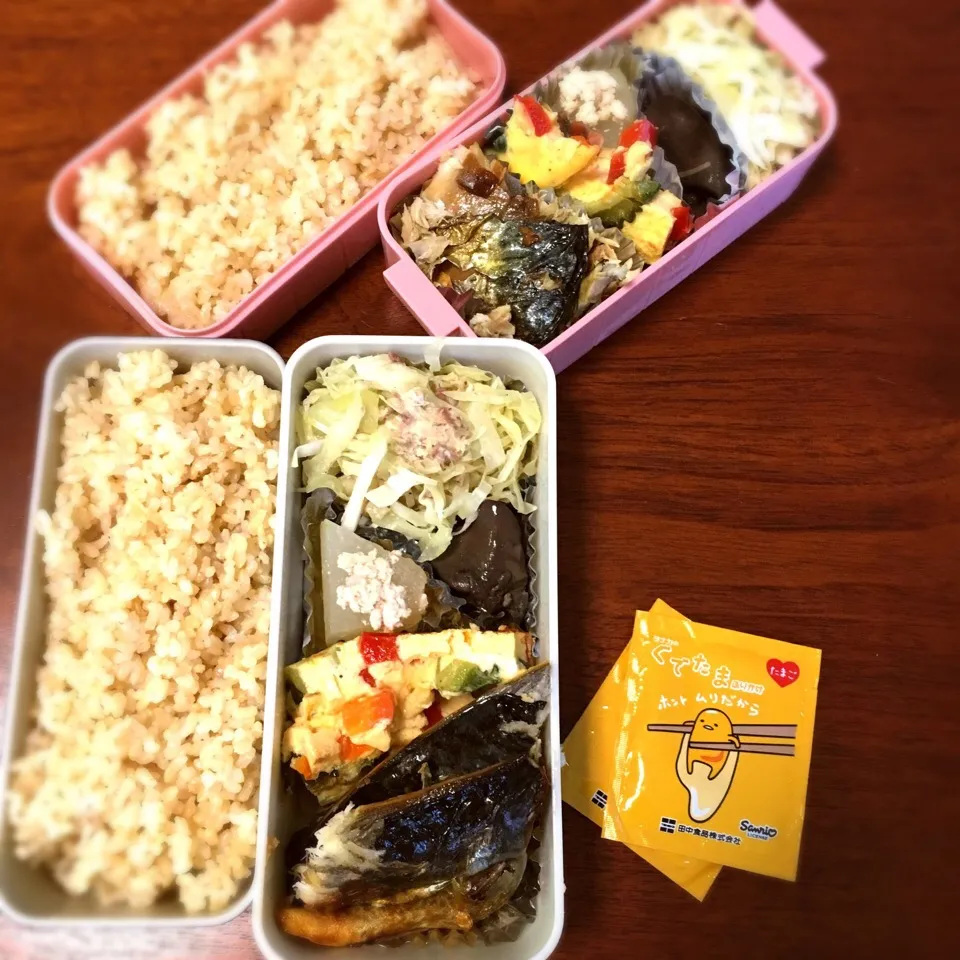 10/19 お弁当|もっちさん