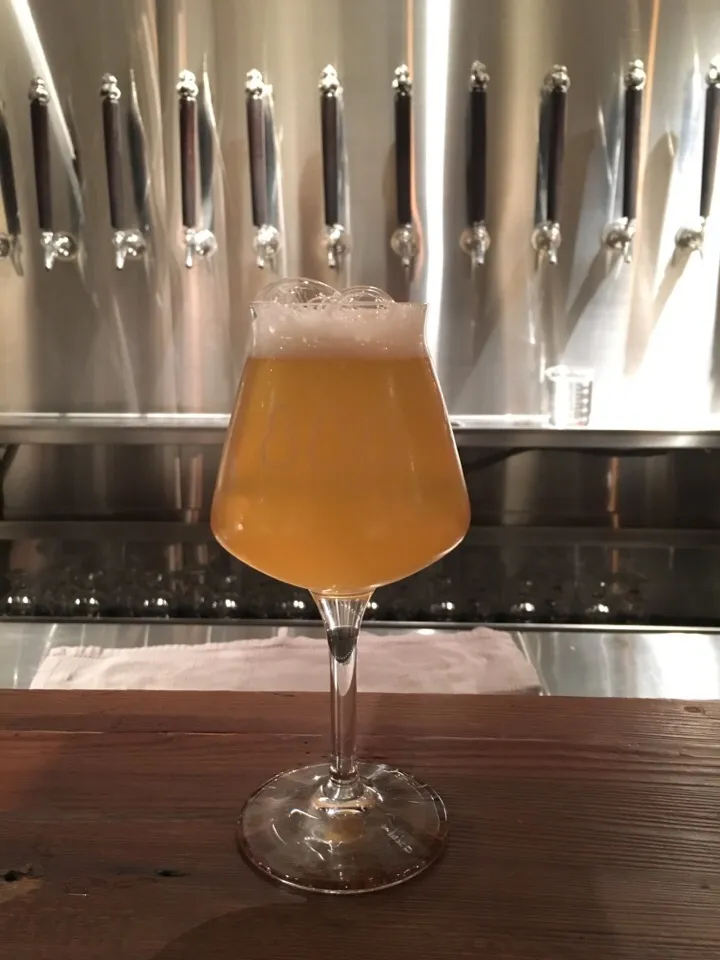 Snapdishの料理写真:Taihu Lab Kumquat Kölsch|PegaOさん