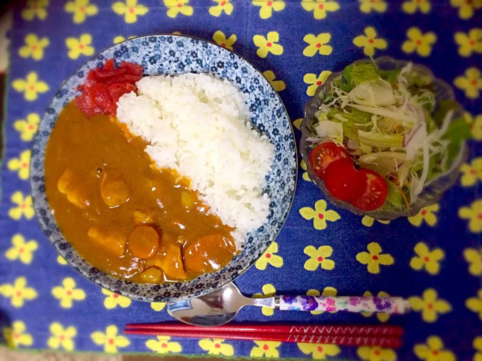 Snapdishの料理写真:10/19❁晩ご飯❁カレー|つんさん