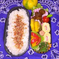 今日のお弁当♪|AYAさん