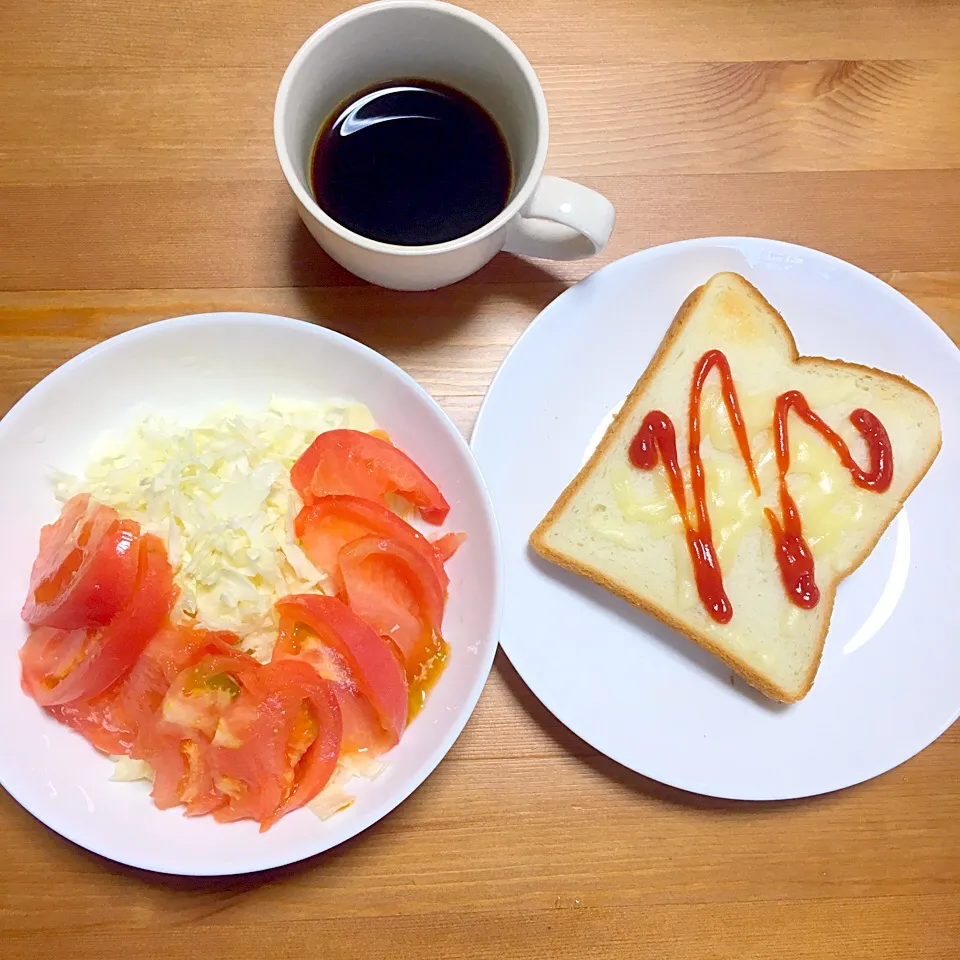 2016/10/20の朝食

ピザトースト
キャベツとトマトのサラダ
モカフレンチコーヒー|Shirokoさん