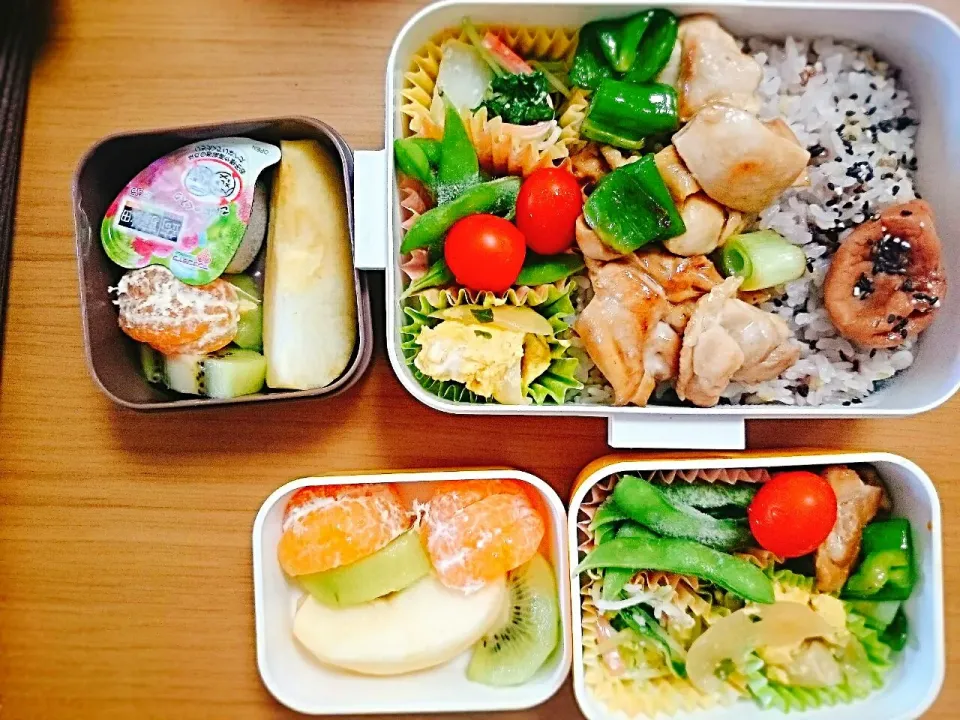 16*10*20 JDDKお弁当|hilocoさん