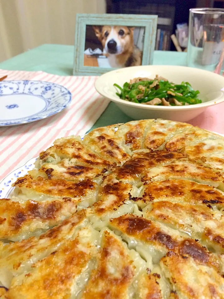 おうちの餃子が一番うまい|小倉佐恵子さん