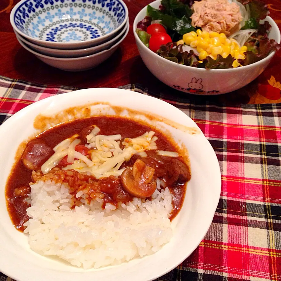 今日の晩御飯(๑´ڡ`๑)
チーズカレー|ちゃたままさん