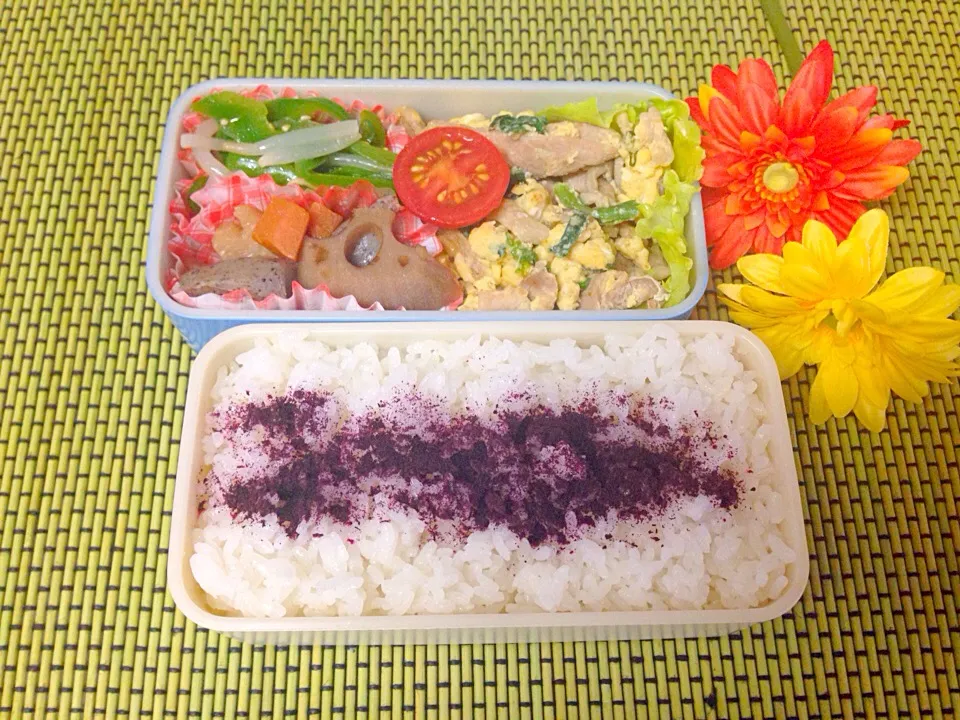 Snapdishの料理写真:お弁当|noriさん