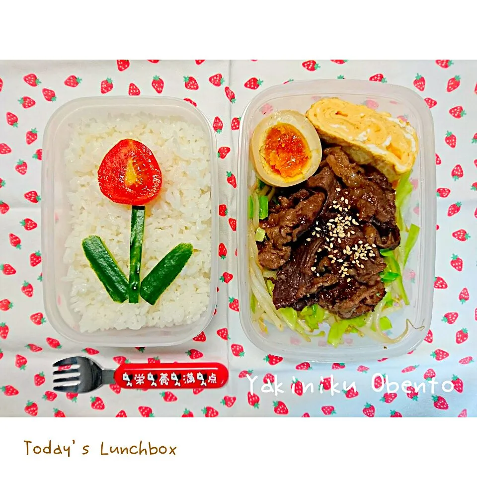 Snapdishの料理写真:今日のお弁当～☆|meri-meroさん