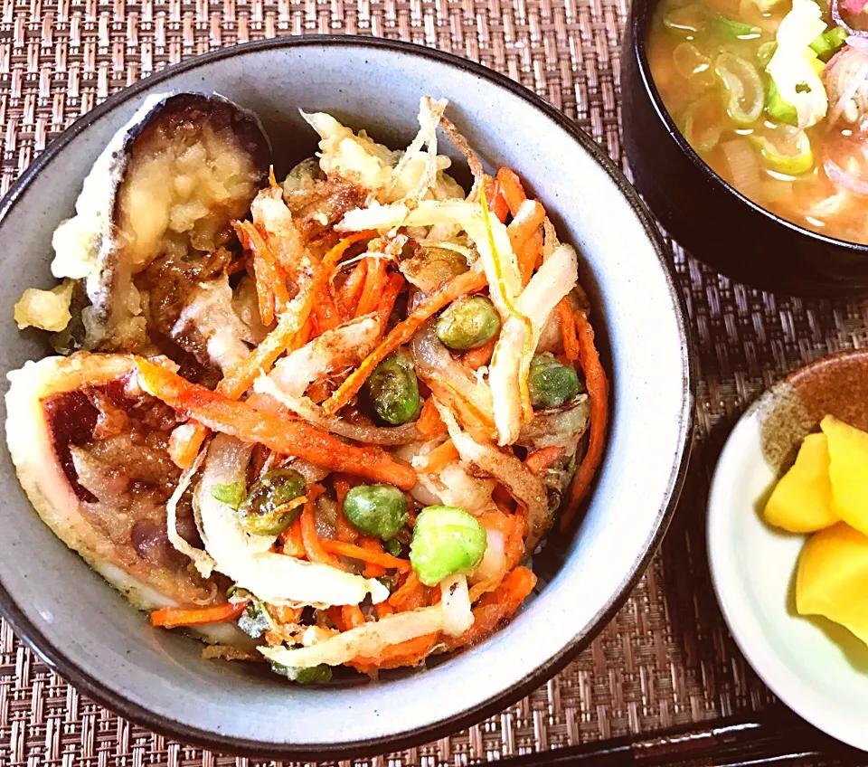 かき揚げ丼と納豆汁|しげさんさん