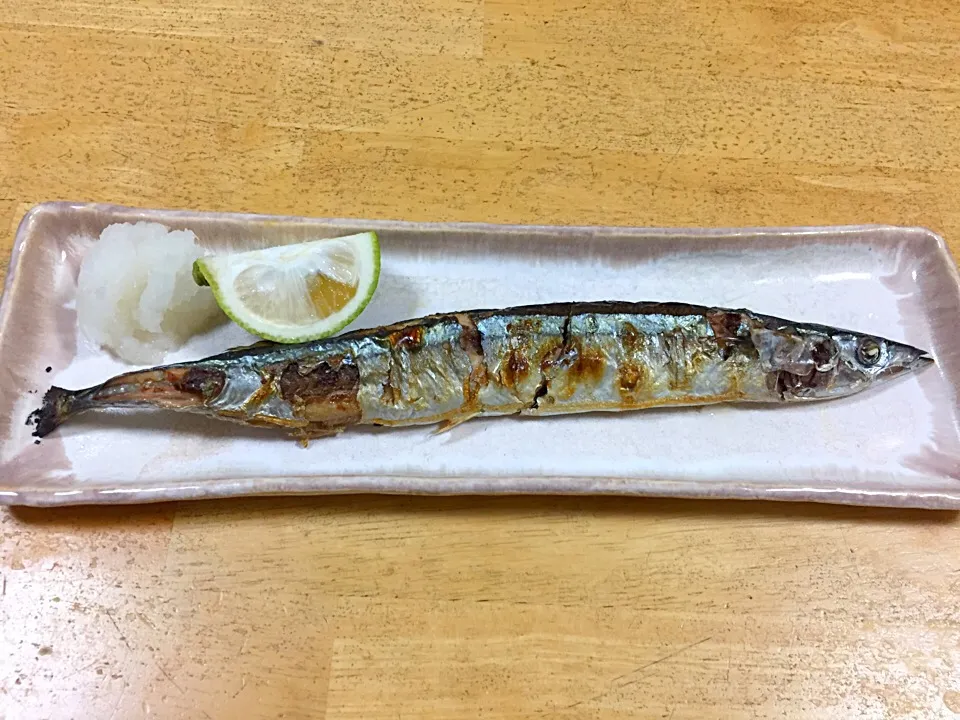 秋刀魚塩焼き|庄司誠吾さん