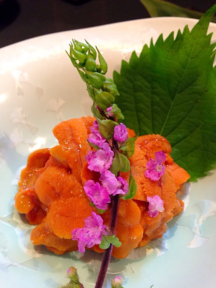 無添加生うに|シュンさん