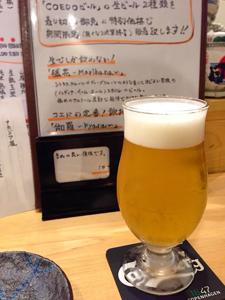 COEDOビールの樽生。「鞠花」と「伽羅」をそれぞれ味見。|しらこさん