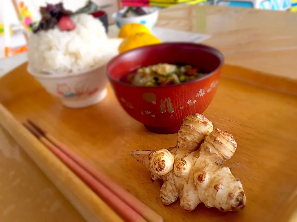 菊芋のお味噌汁|かわちさん