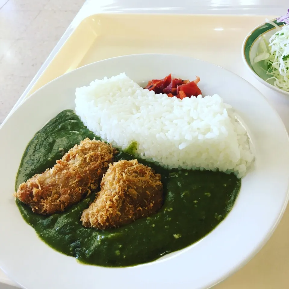 黒部ダムの扇沢駅の黒部ダムカレー|大塚寛之さん