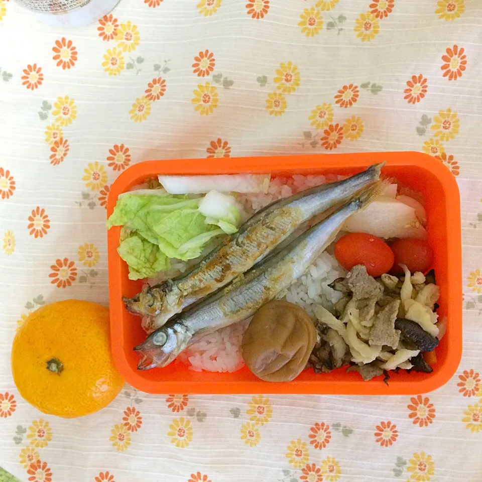 Snapdishの料理写真:10/24 お弁当|はまみさん