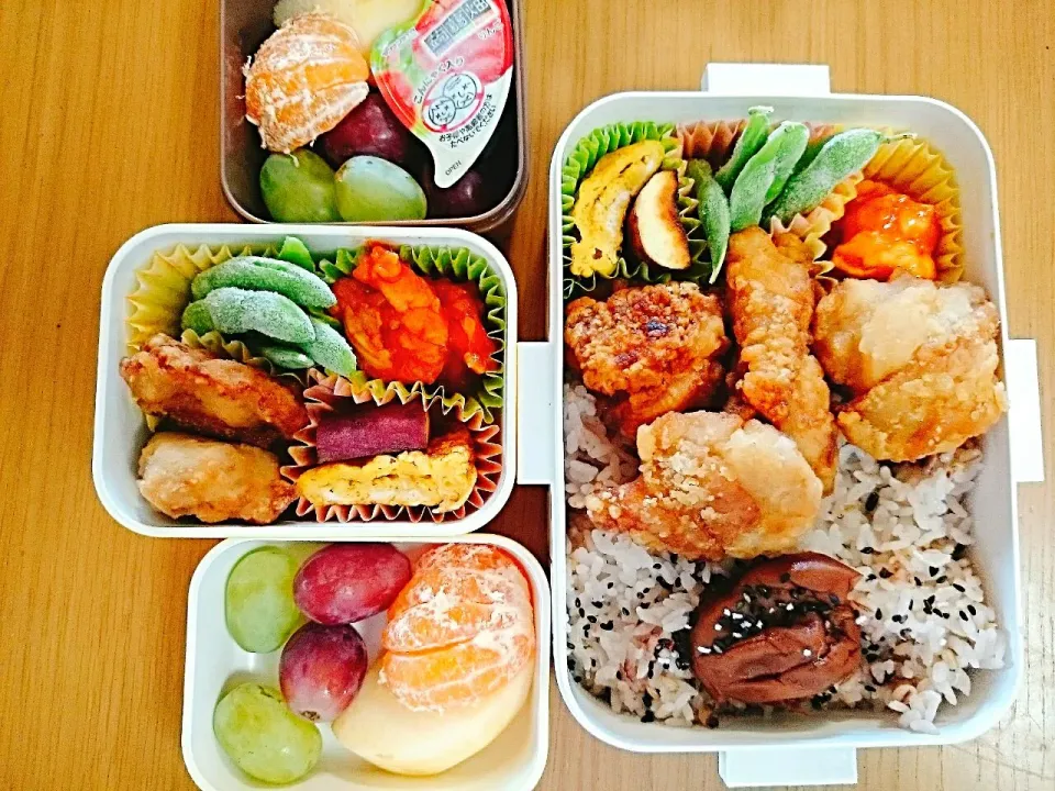 16*10*24  JD1DK1弁当|hilocoさん