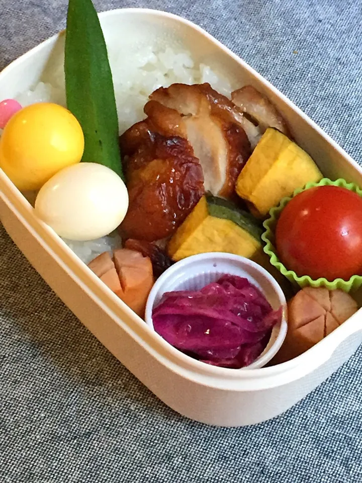 今日のお弁当🍱|Lilyさん