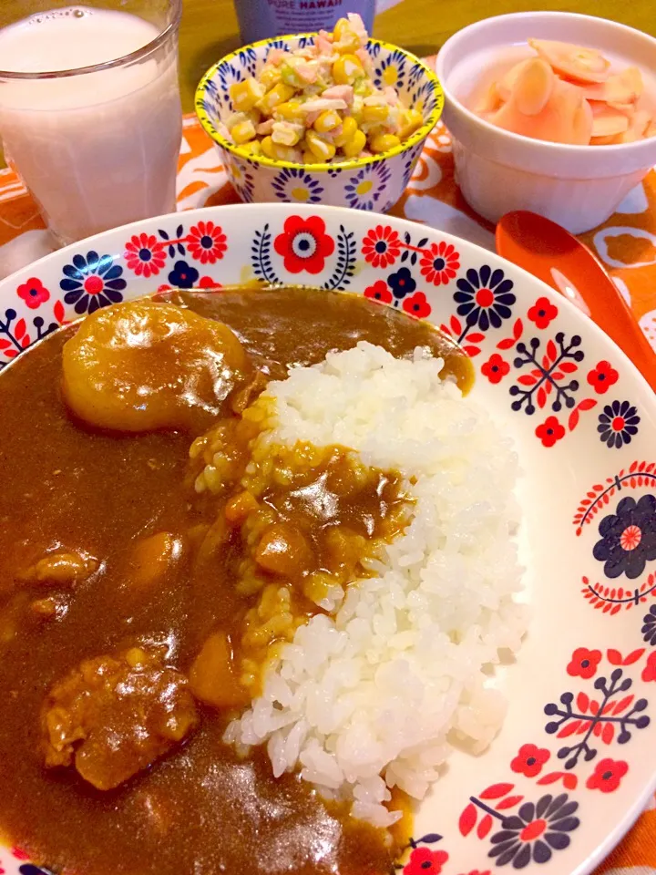 カレーで夕食|かずみさん