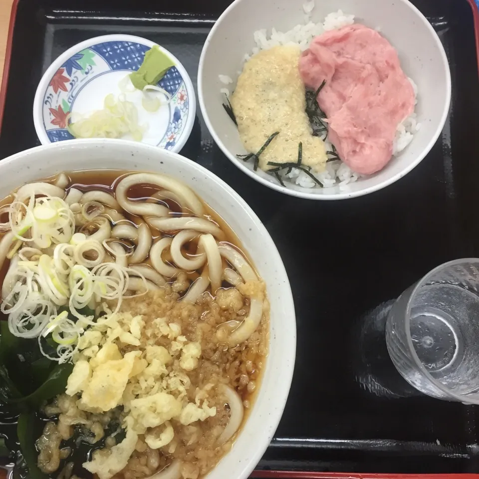 寒くなってきたのでうどん|アクちゃんさん