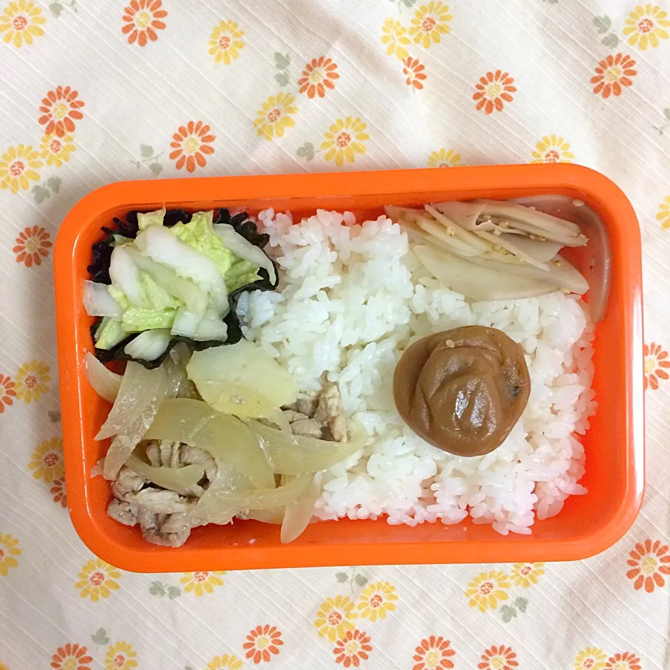 10/25 お弁当|はまみさん