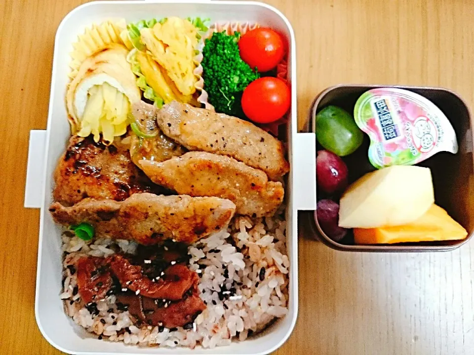 16*10*25  DK1弁当|hilocoさん