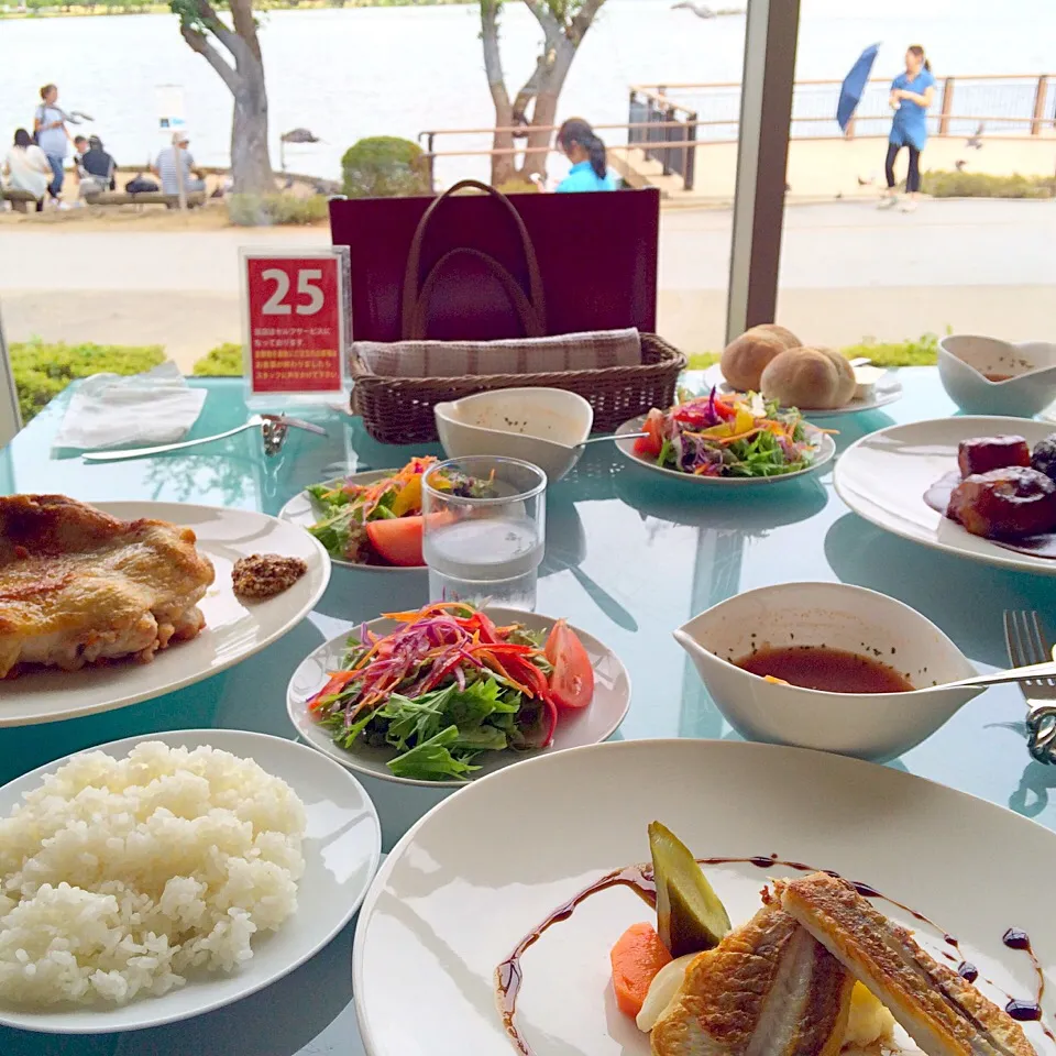 水戸千波湖にてランチ|祥子さん